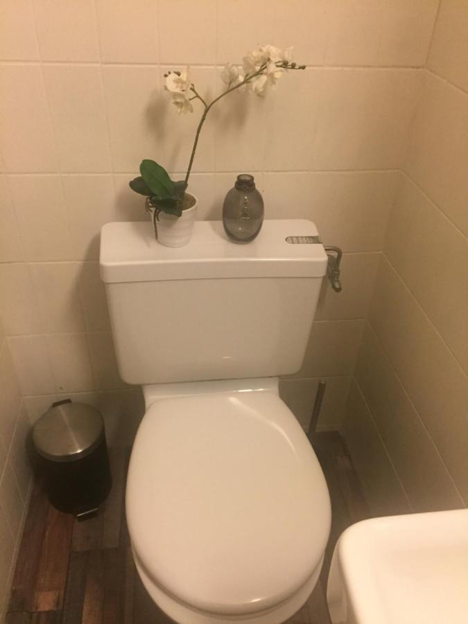 סן-לוק Petit Appart De Charme Eau Chaude Solaire Renovation 2021 Wifi Disponible Belvedere 5 מראה חיצוני תמונה
